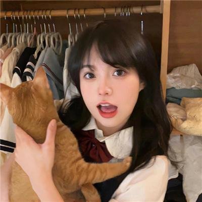 主妇的战争